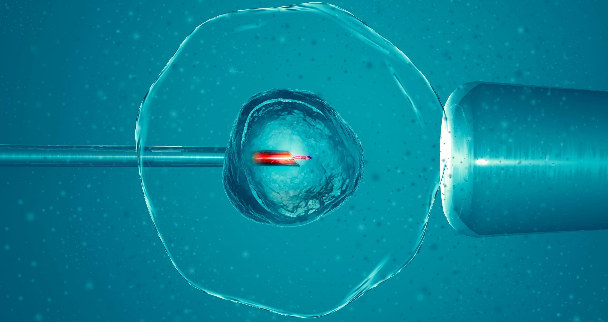 Fertility treatment Newcastle Hospitals NHS Foundation Trust