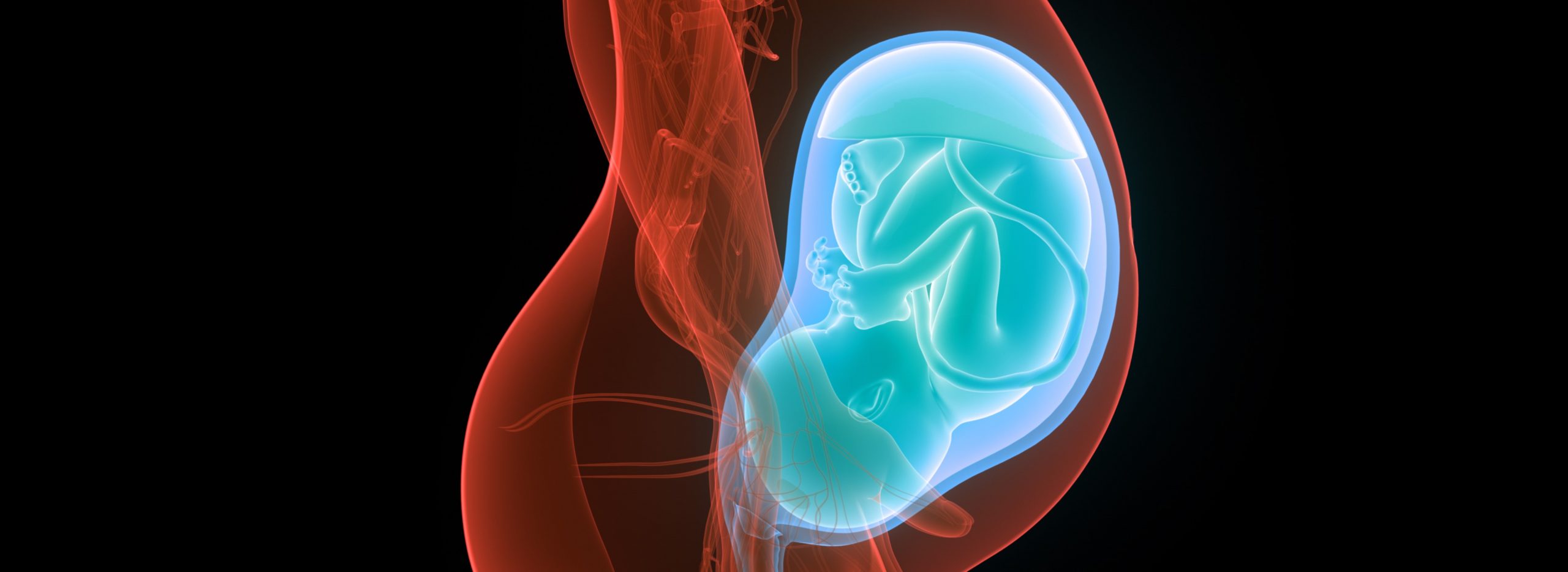 Fetal medicine unit Newcastle Hospitals NHS Foundation Trust
