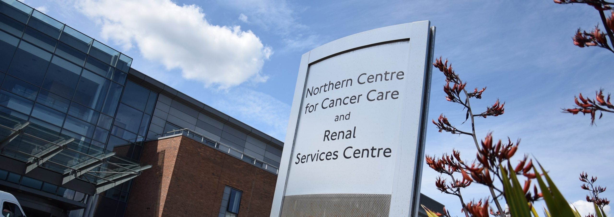 Haematologists Newcastle Hospitals Nhs Foundation Trust 