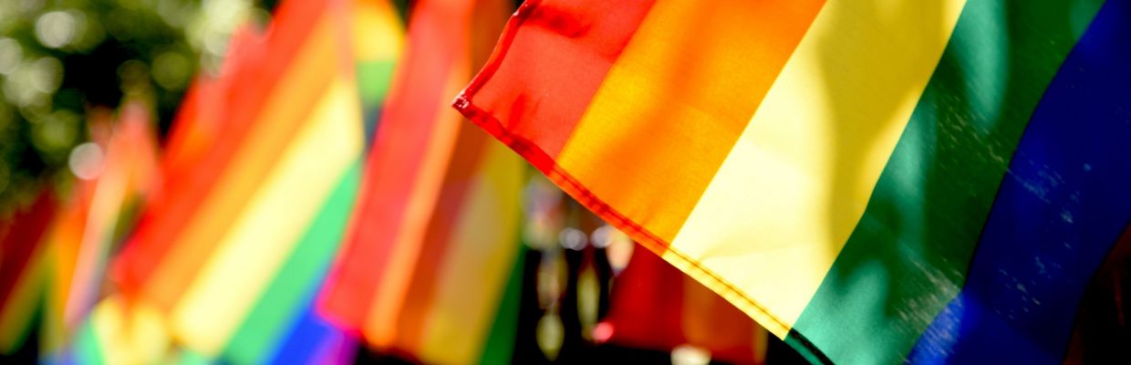 Rainbow flags Stonewall New York