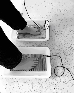 Picture of feet in trays of shallow water. These trays are attached to the machine by electrical cables.  