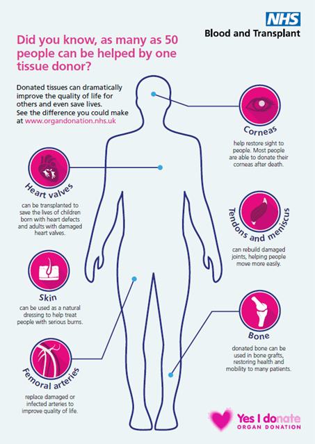 Did you know many as 50 people can be helped by one tissue donor? Donated tissues can dramatically improve the quality of life for others and even save lives