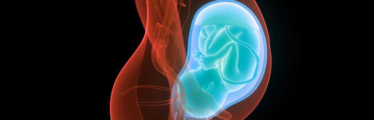 We offer individualised care for pregnant women and their families from all over the North East of England and Cumbria where there is a concern for the health of the unborn baby.