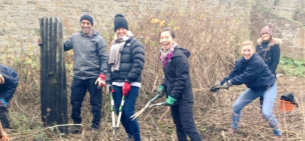 Picture of group of 5 people with gardening equipment cutting down branches. One person is holding a piece of corrugated metal