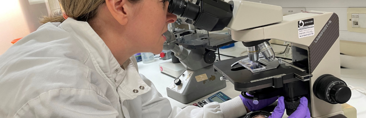 A scientist looking at a sample under a microscope