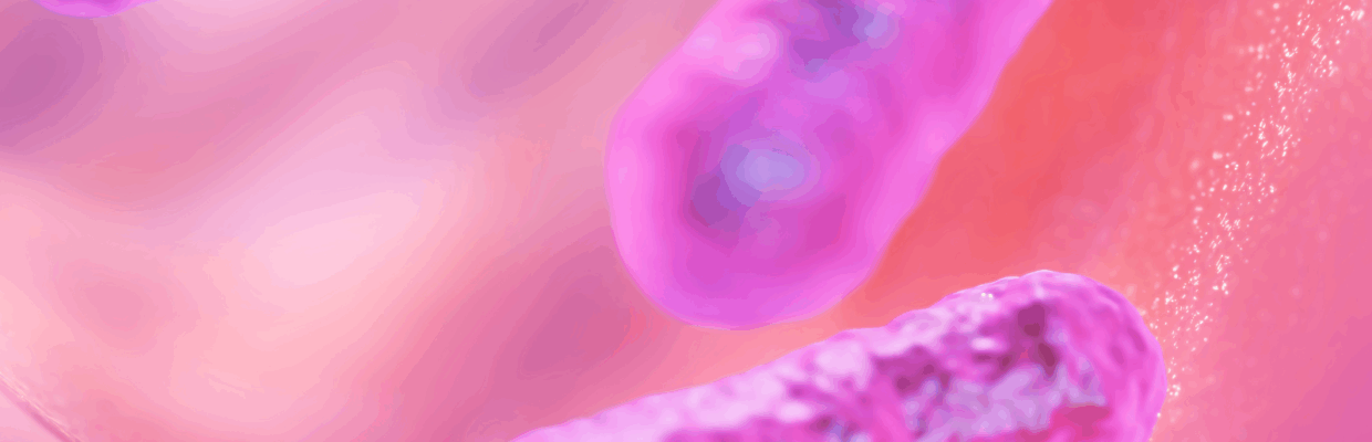 A scientific image of a gut microbe