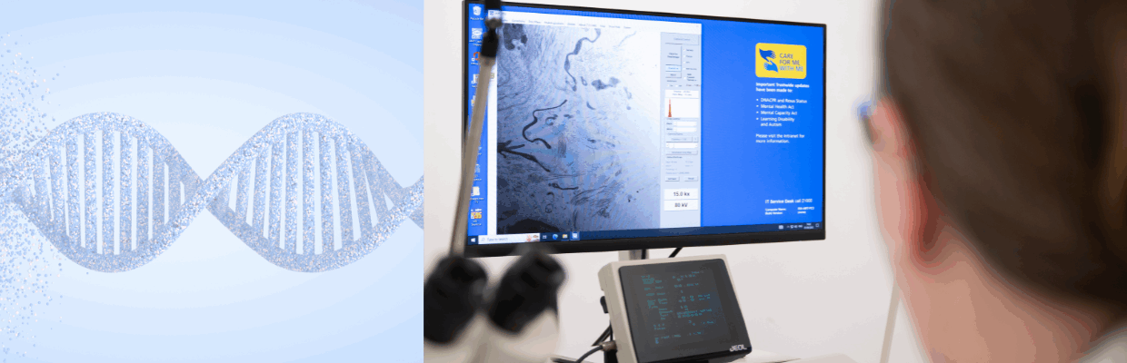 A medical professional analysing an image on the computer screen