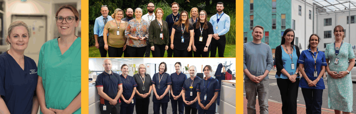 A series of images featuring multiple group photos in different locations