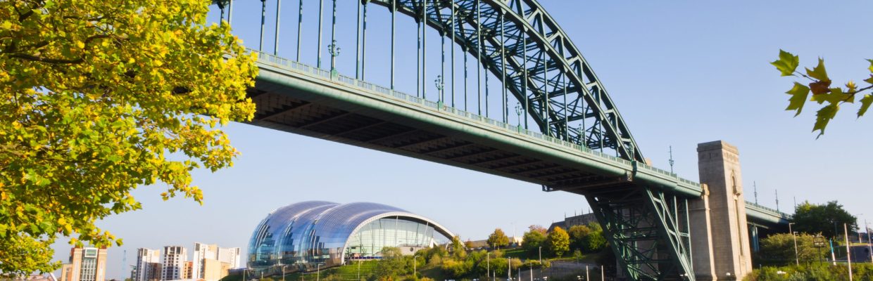 Tyne,Bridge,Framed,With,Leaves,/,View,Of,The,Iconic