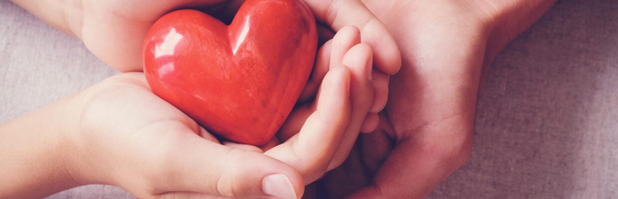 adult and child hands holding red heart, health care, love, organ donation, family insurance and CSR concept, world heart day, world health day, foster home care