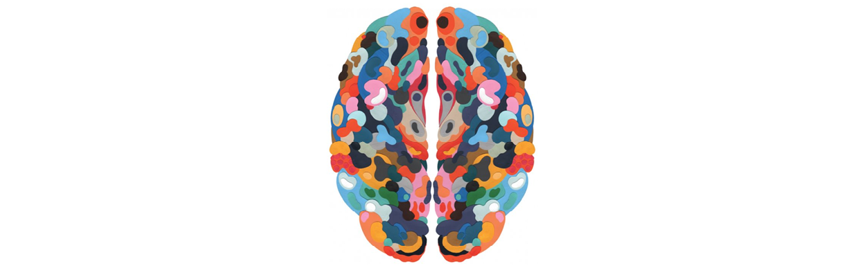Image of colourful brain