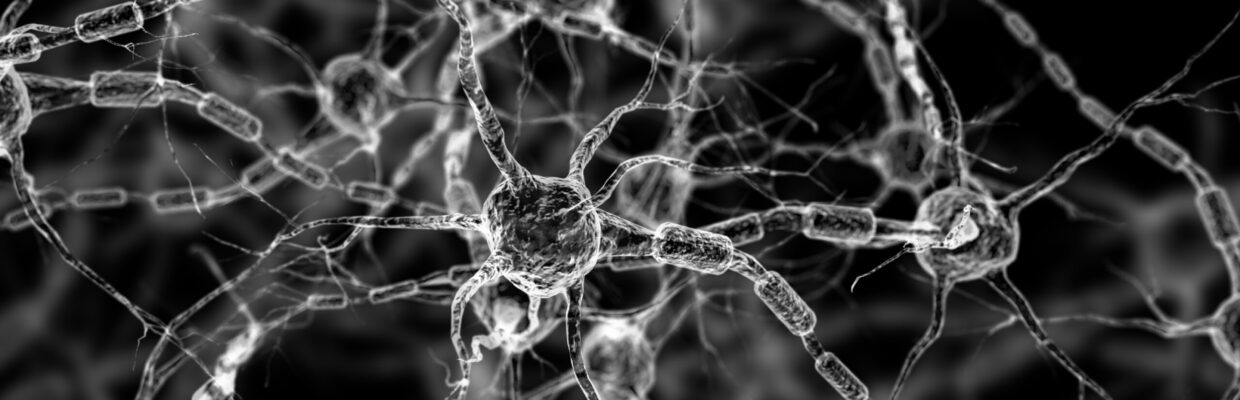 A scientific image of neurons connecting with each other