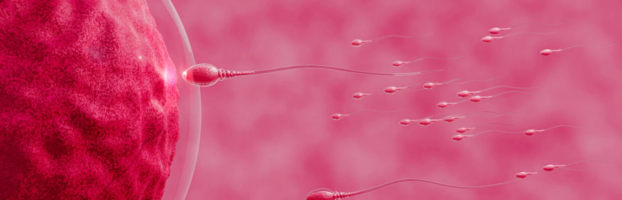 The,Sperm,Fertility,From,Men's,Cum,Is,Directed,Towards,The